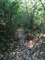 2018-09-19 11-26-18 Rando Combas